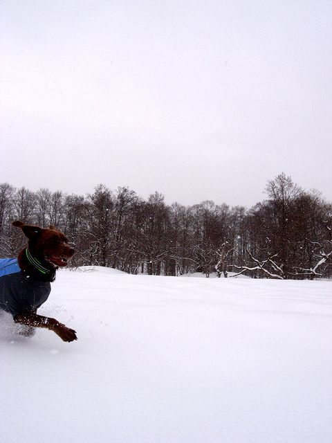 a0093592_0443578.jpg