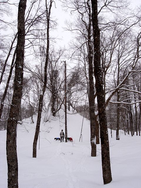 a0093592_1133678.jpg