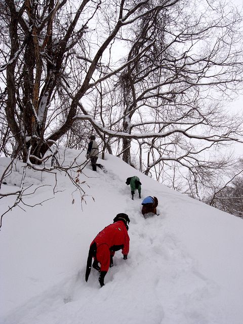 a0093592_1154675.jpg