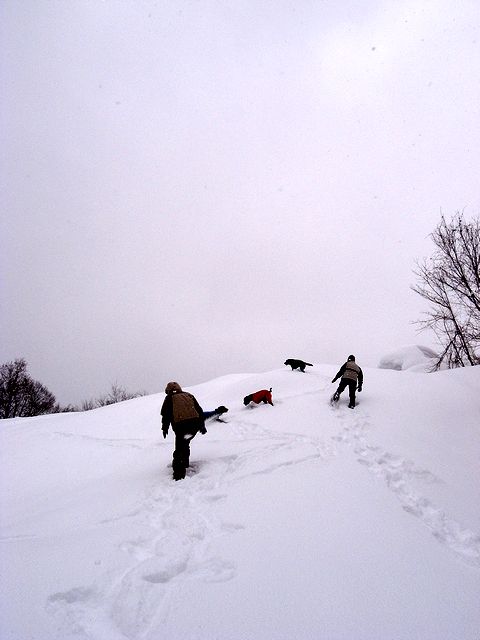 a0093592_1201840.jpg