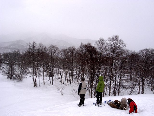 a0093592_125487.jpg