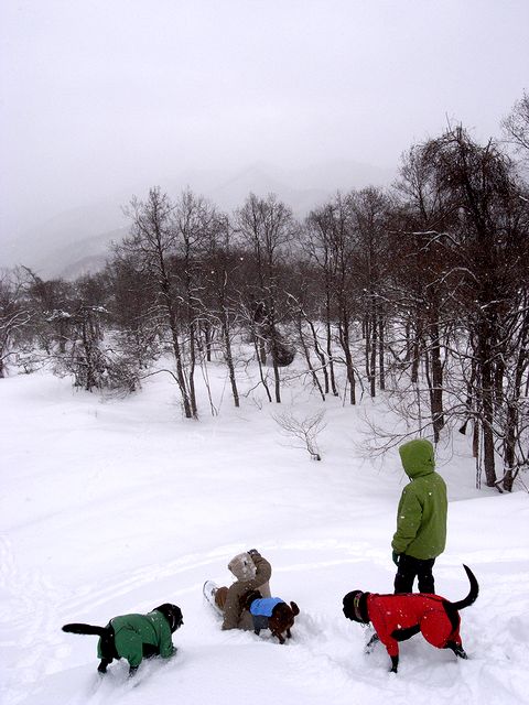 a0093592_135491.jpg