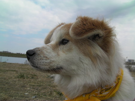 a0164292_14572439.jpg