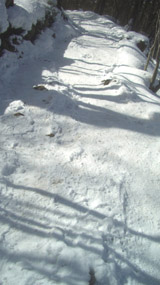 b0099994_6385161.jpg