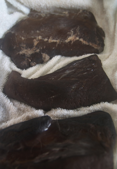 e0089001_2326934.jpg