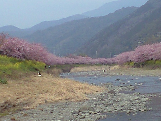 b0076307_1849348.jpg