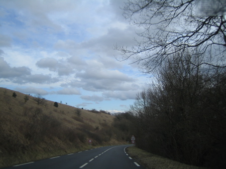 d0135907_53498.jpg