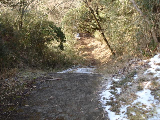 e0015108_7414890.jpg