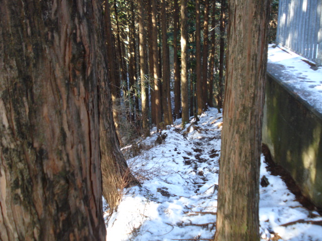 e0015108_7431710.jpg