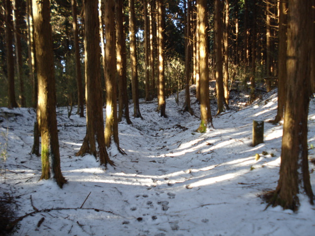 e0015108_74618.jpg