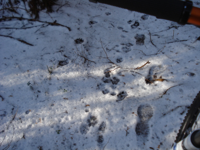 e0015108_7471980.jpg