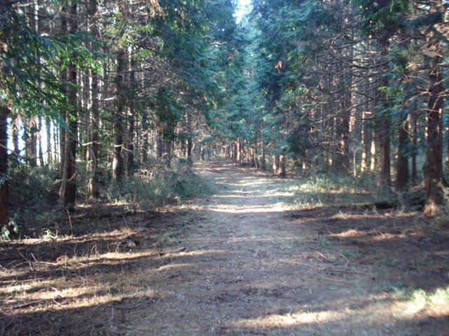 e0015108_7513286.jpg