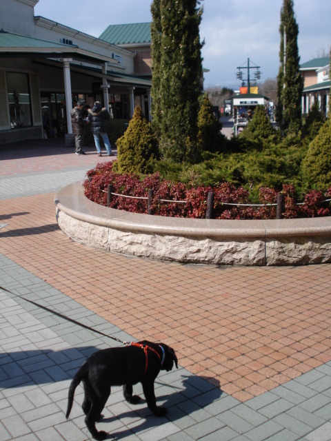 e0015108_812192.jpg