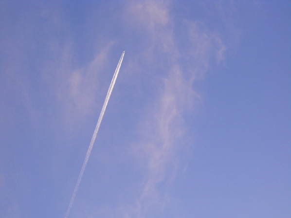 c0226214_72128.jpg