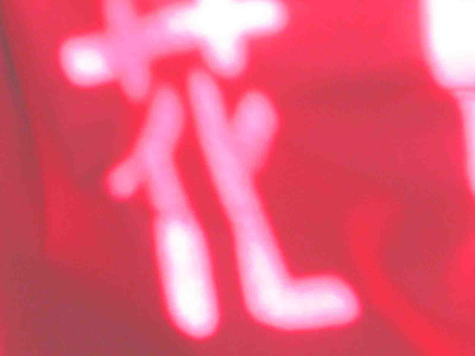 c0219815_2231063.jpg
