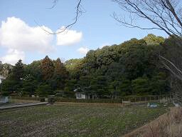 f0000521_6455718.jpg