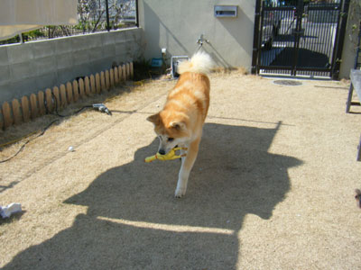 f0008935_9285642.jpg