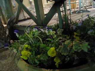 a0132041_8262133.jpg