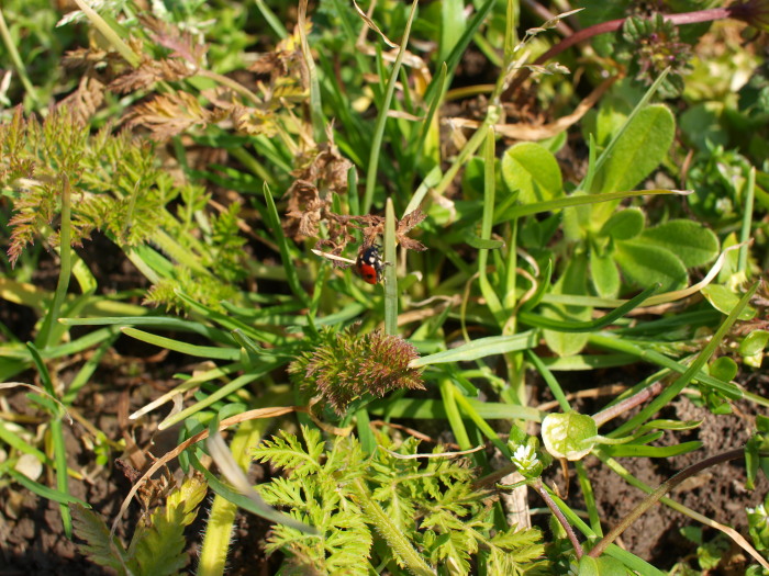 c0072843_18365694.jpg