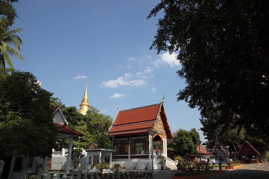 a0094850_14171741.jpg