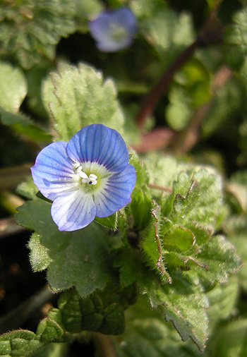 a0001354_2154407.jpg