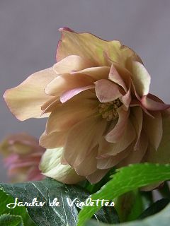 e0118257_1753980.jpg