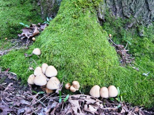 c0100661_7384314.jpg