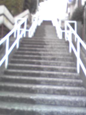 f0036269_18474517.jpg