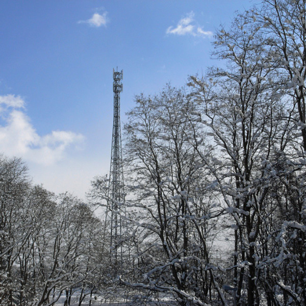 e0100772_2240253.jpg