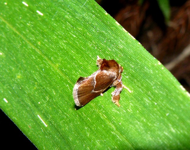 d0019074_1014184.jpg