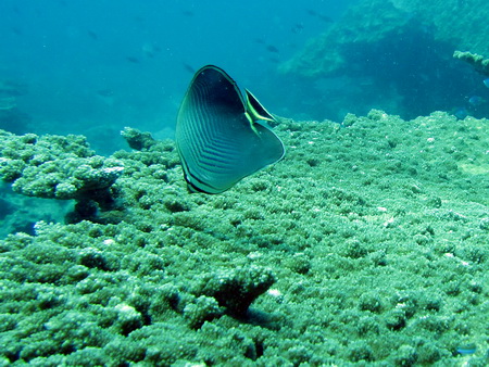 a0002177_23265385.jpg