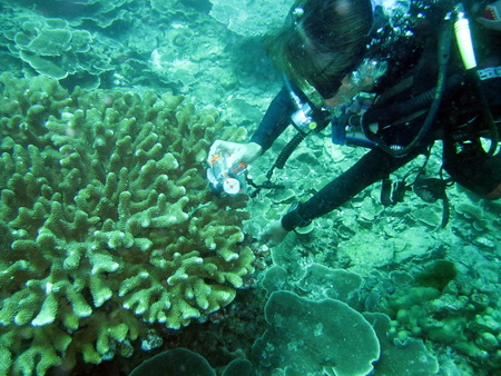 a0002177_23421850.jpg