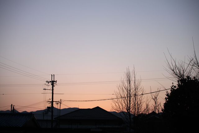 a0159782_17585114.jpg