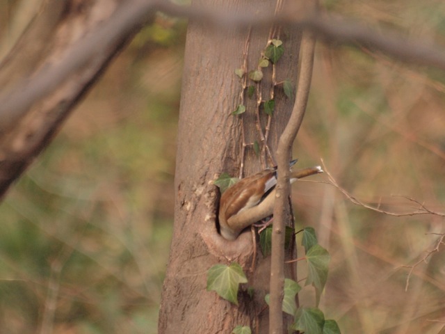 c0061282_18275490.jpg