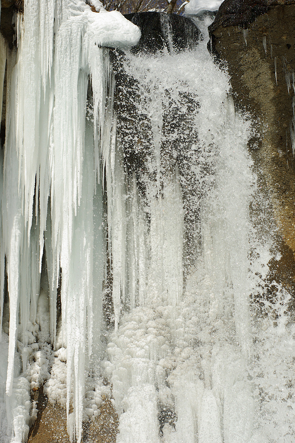 e0051186_2123468.jpg