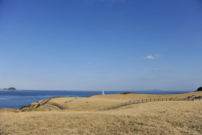 f0112087_208241.jpg