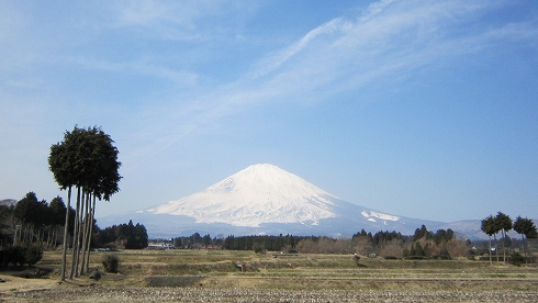 c0160488_23513413.jpg