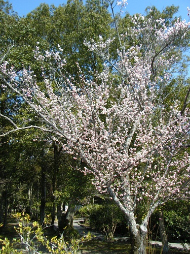 f0008692_9304557.jpg