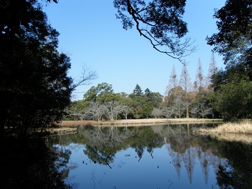 f0008692_9314984.jpg