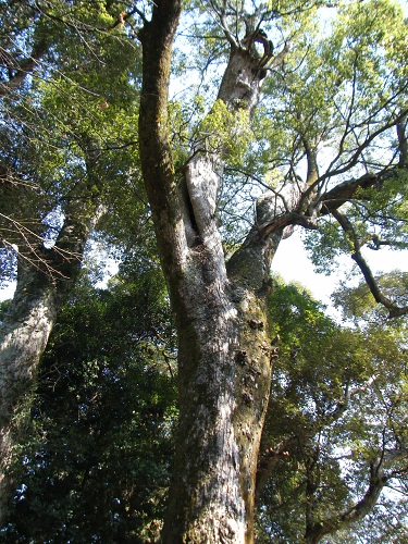 f0008692_9321640.jpg