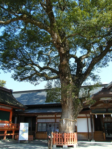 f0008692_9335556.jpg