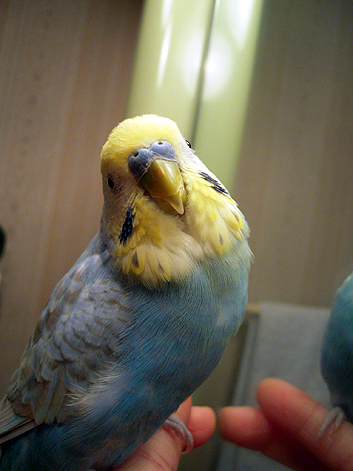 d0131293_20324150.jpg