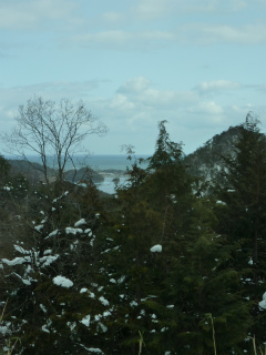 c0077697_18173145.jpg