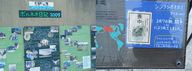 f0144400_16411990.jpg