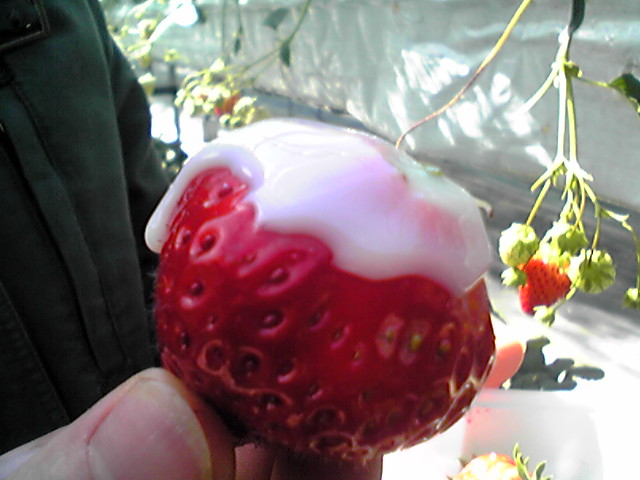 f0079202_22342111.jpg
