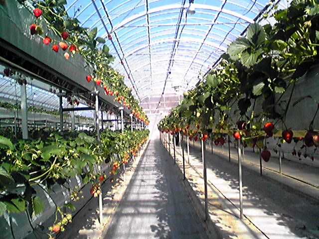 f0079202_2234216.jpg