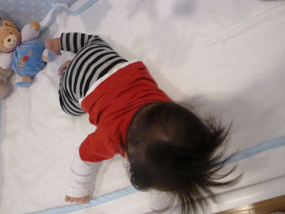 c0149804_8185845.jpg