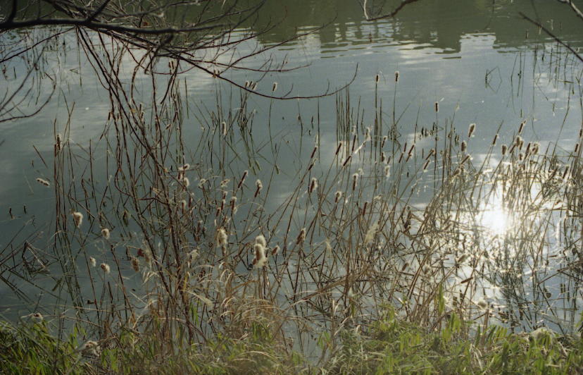 d0071507_2318274.jpg