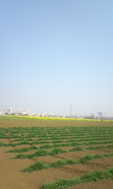 b0149320_11395835.jpg