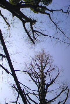d0024220_22281770.jpg
